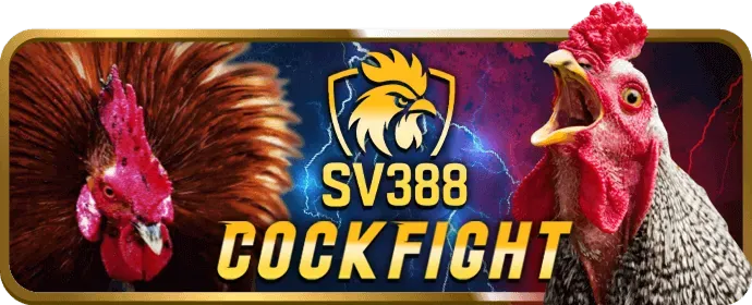 Ưu đãi chào mừng thành viên mới bin88 nhà cái